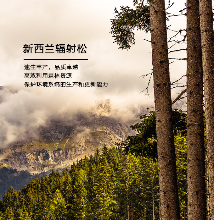 這是描述信息 這是描述信息